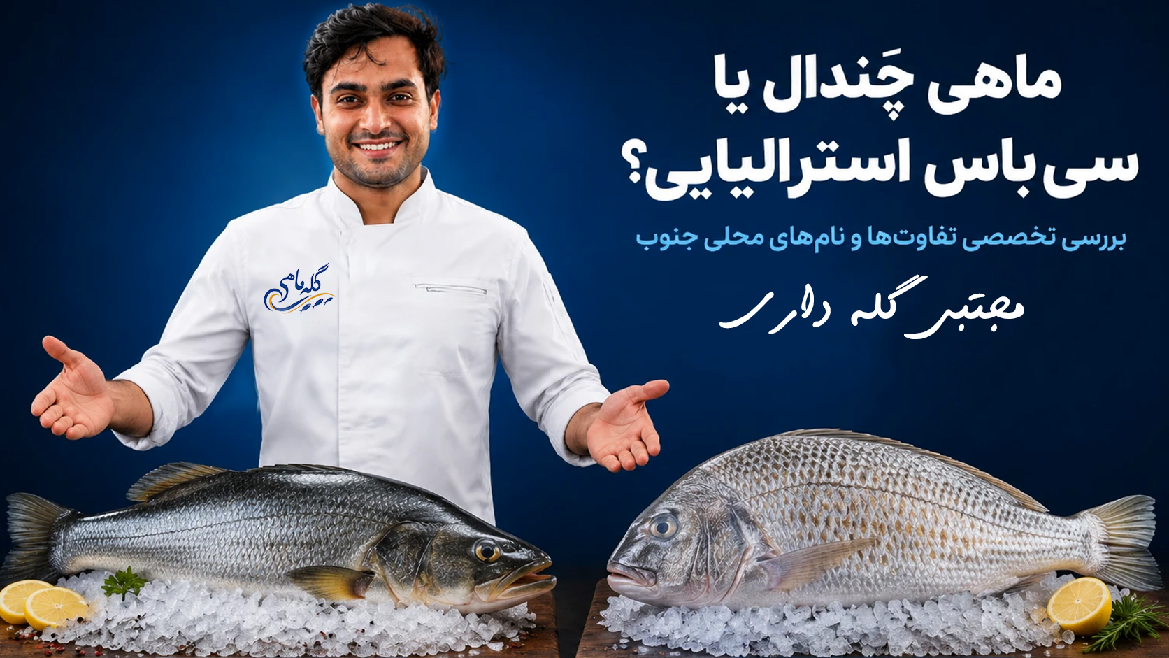 چندال صبیتی جهرو یا سی باس استرالیایی ؟