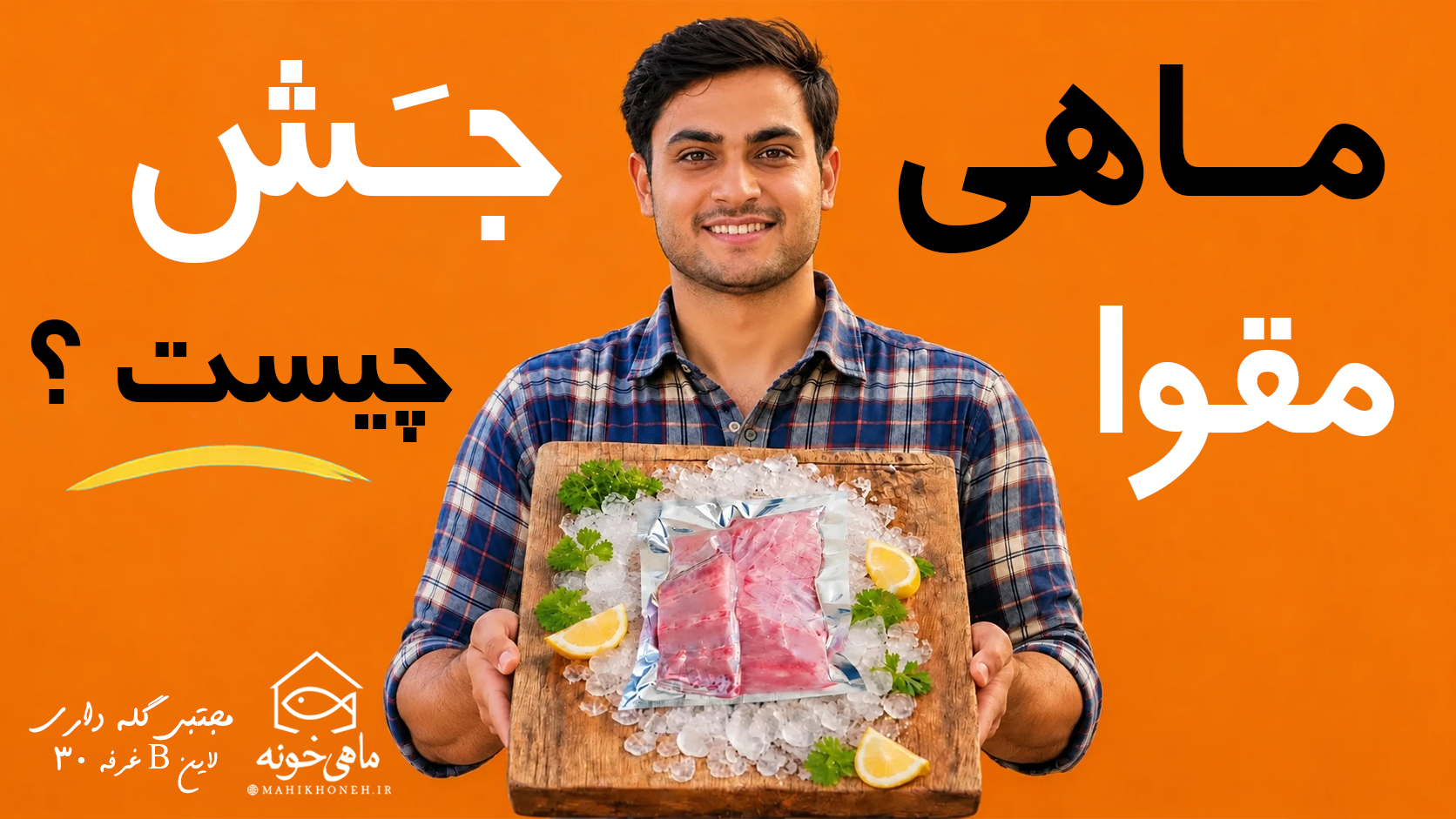ماهی مقوا یا جش چیست ؟