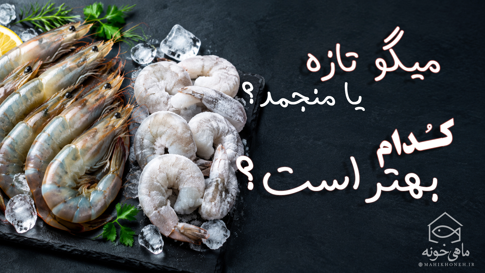 میگو تازه یا منجمد کدام بهتر است ؟