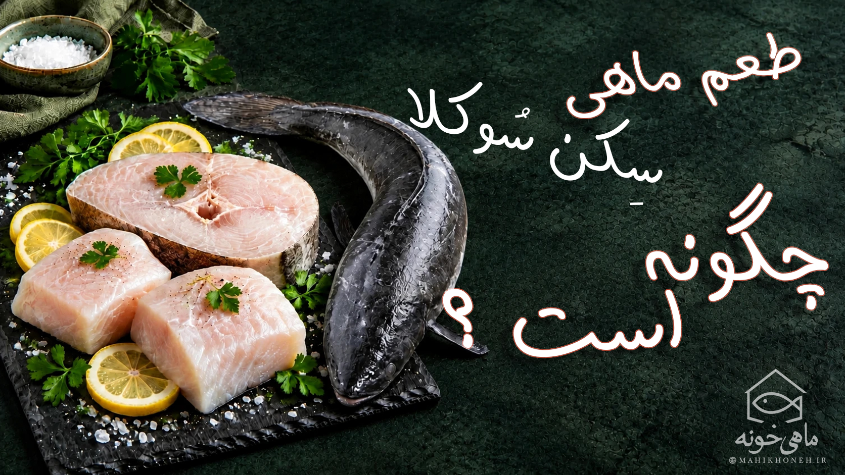 طعم ماهی سکن (سوکلا) چگونه است؟