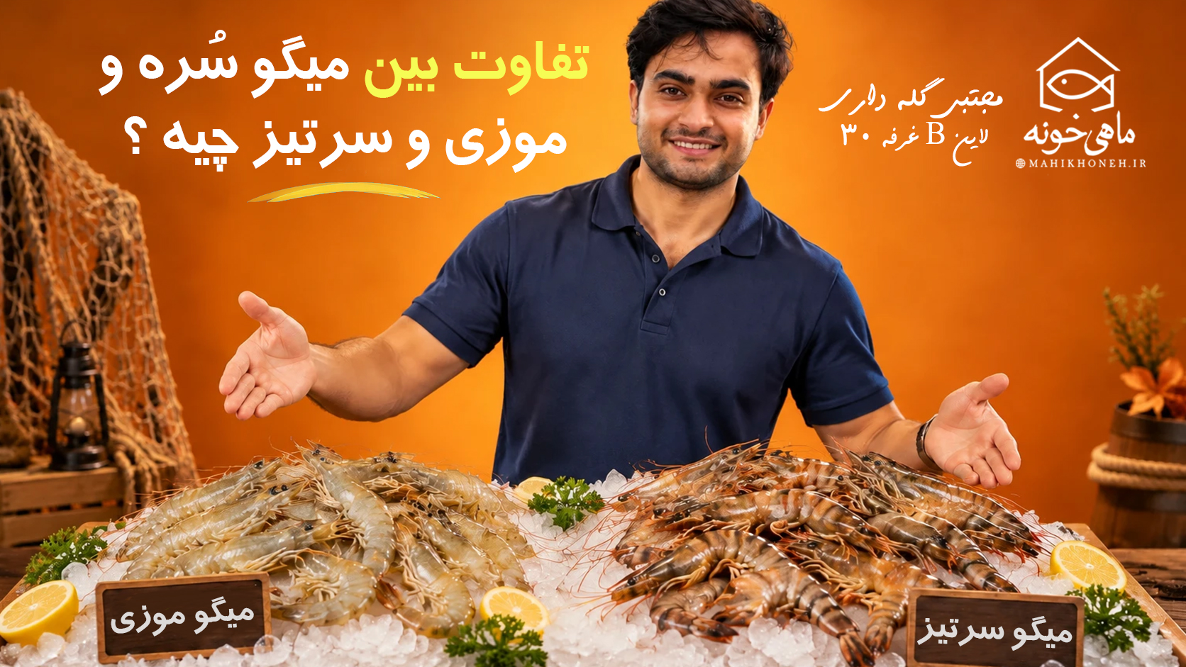 تفاوت میگو سره و موزی و سرتیز چیه ؟
