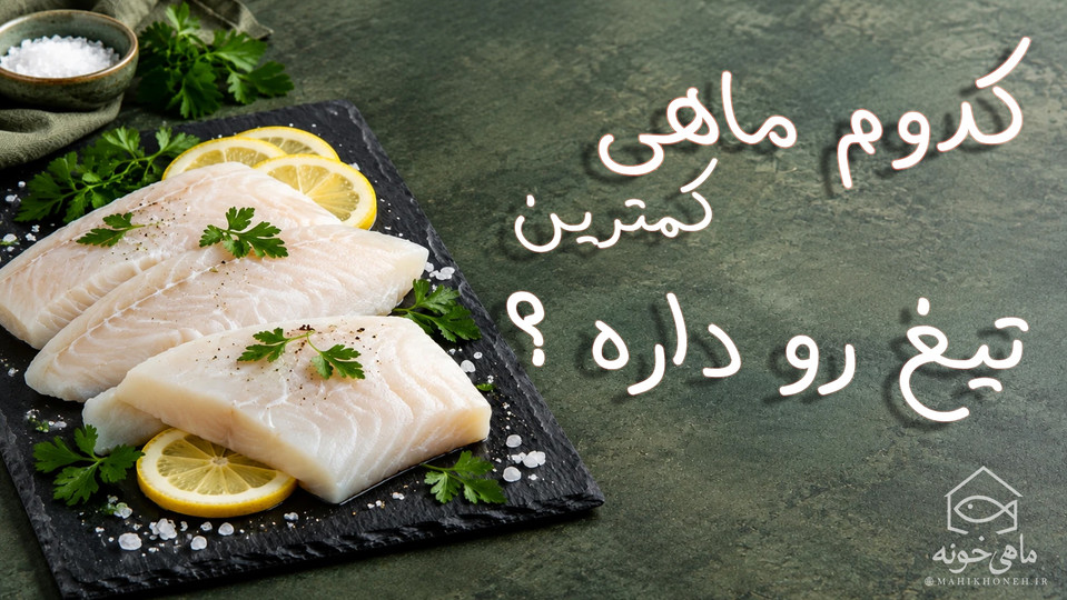 کدوم ماهی کمترین تیغ رو داره؟