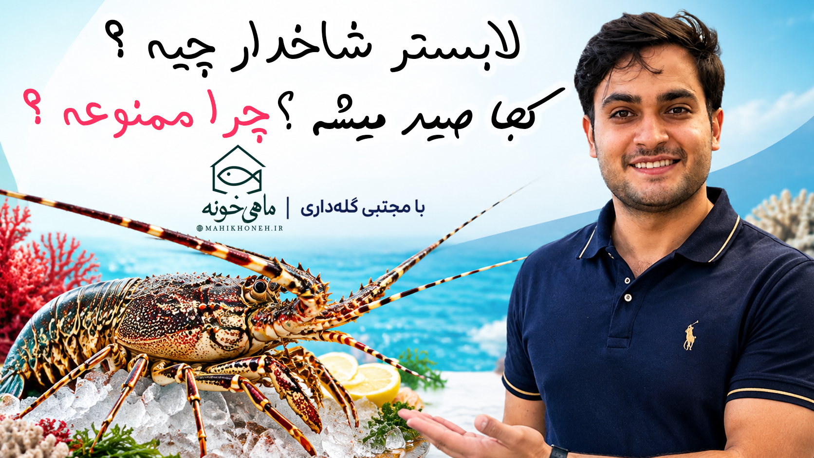 درباره لابستر شاخدار