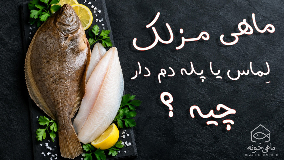 ماهی مزلک ، لماس یا پله دم دار چیه ؟