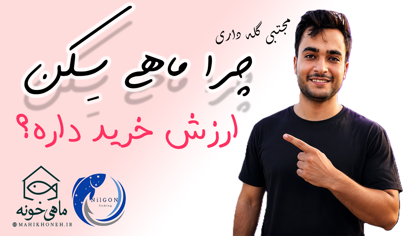 چرا ماهی سکن ارزش خرید داره ؟