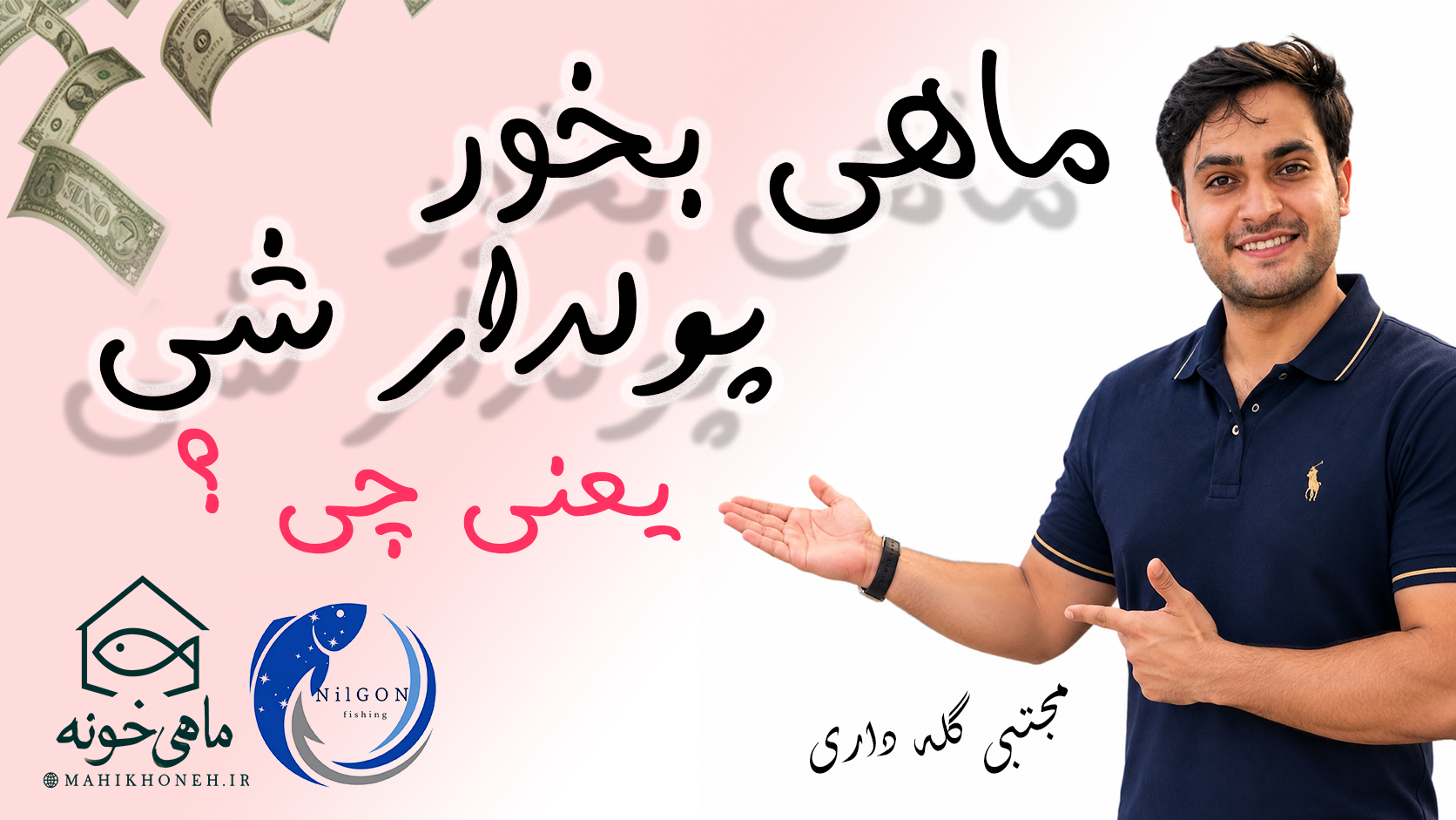 ماهی بخور  پولدار شی یعنی چی ؟