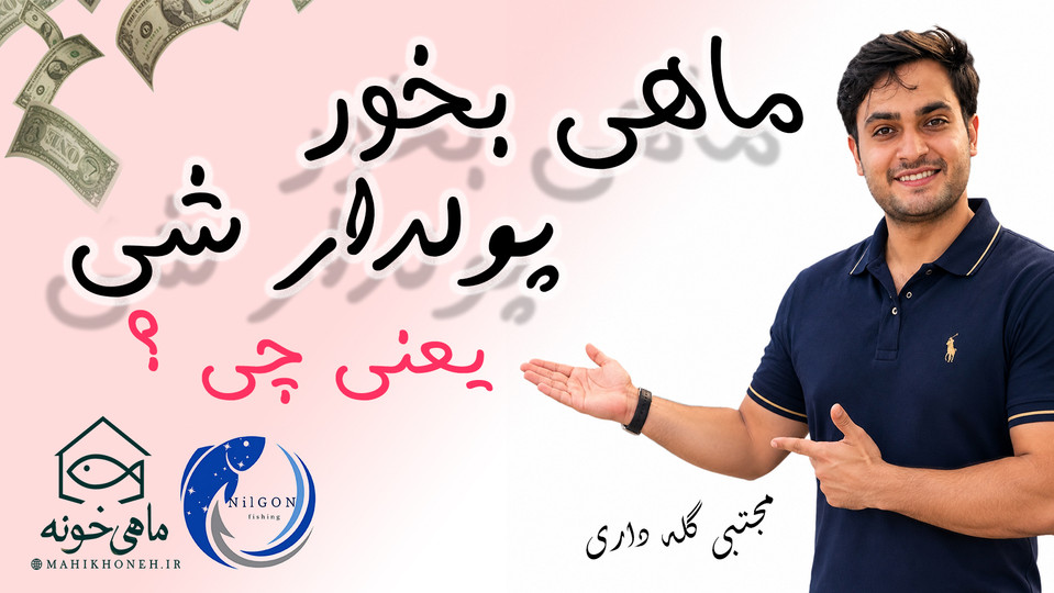 ماهی بخور پولدار شی یعنی چی ؟