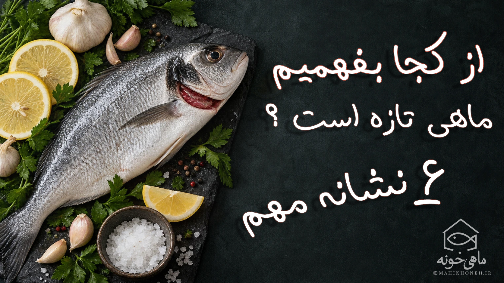 از کجا بفهمیم ماهی تازه است؟ ۶ نشانه مهم