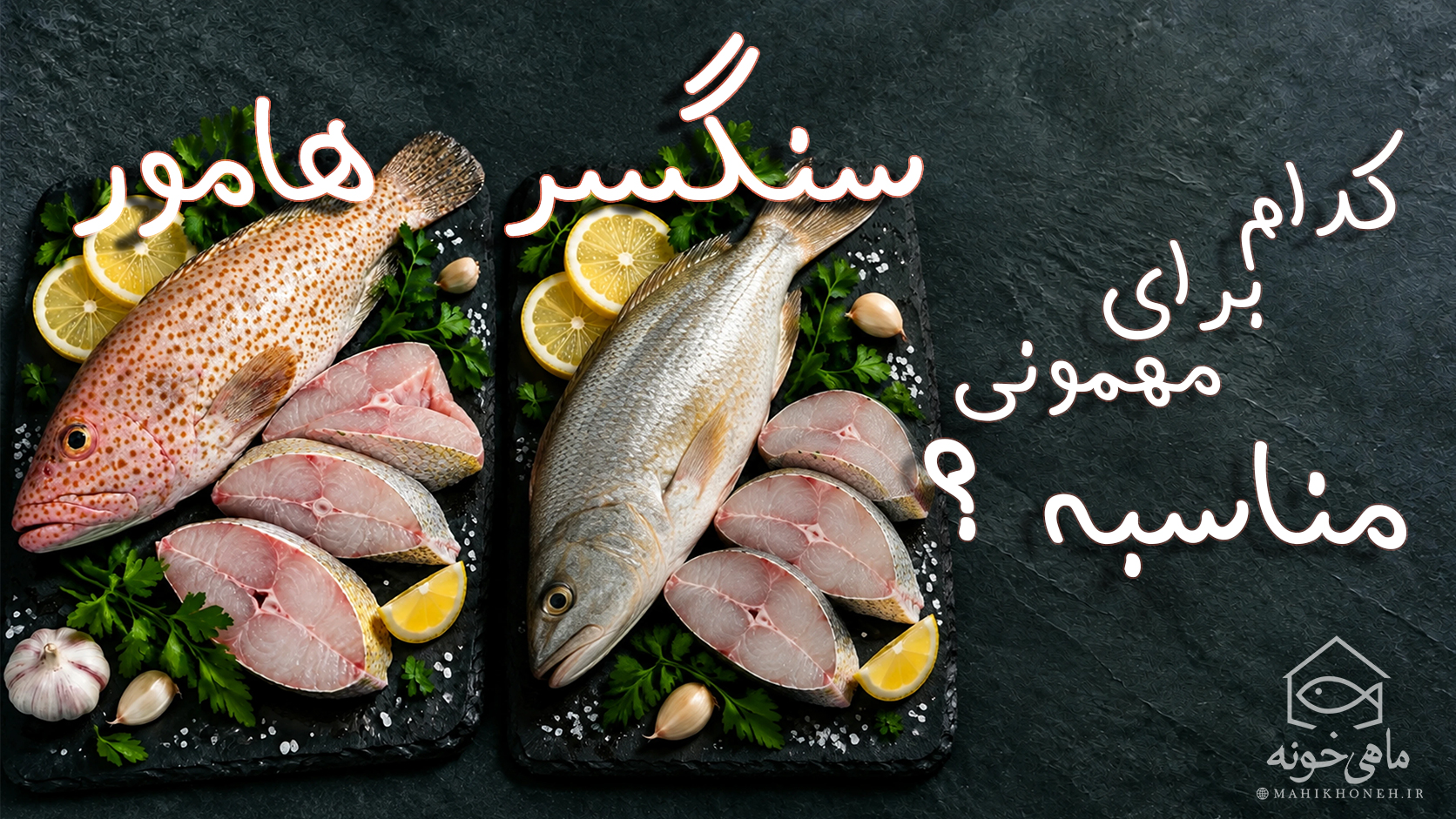 سنگسر یا هامور کدام برای مهمونی ؟
