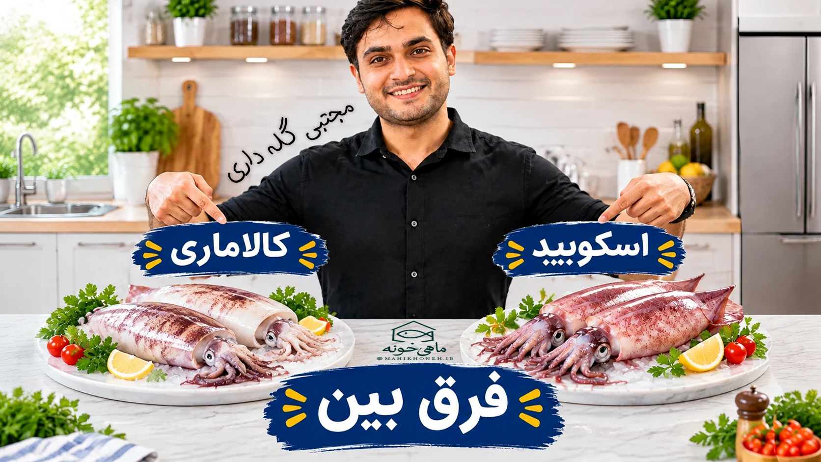 فرق اسکویید و کالاماری چیه ؟