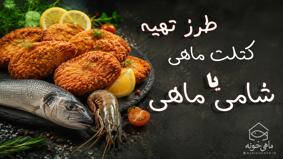 طرز تهیه کتلت ماهی یا شامی ماهی