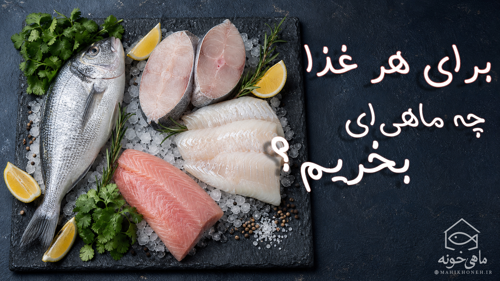 برای هر غذا چه ماهی‌ای بخریم؟