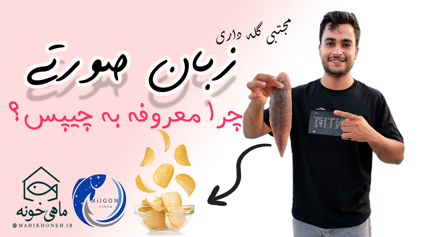 ماهی زبون چرا معروفه به چیپس ؟