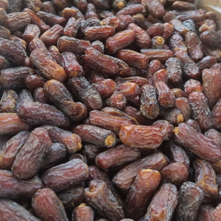 خرما پیارم اصل حاجی آباد