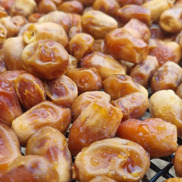 خرما زاهدی