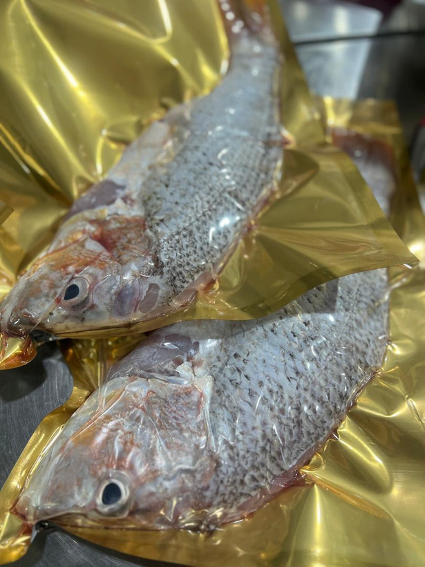بسته بندی سرخو محلی ماهی خونه