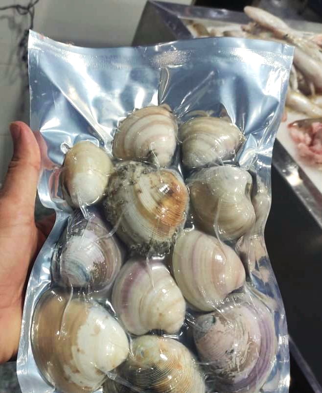 صدف دو کفه ای (کالنگ)