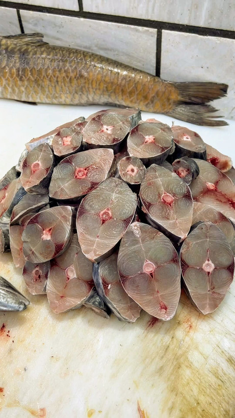 شیر ماهی یا ماهی شیر ماهی خونه