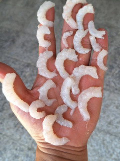 میگو پلویی پرفروش ماهی خونه