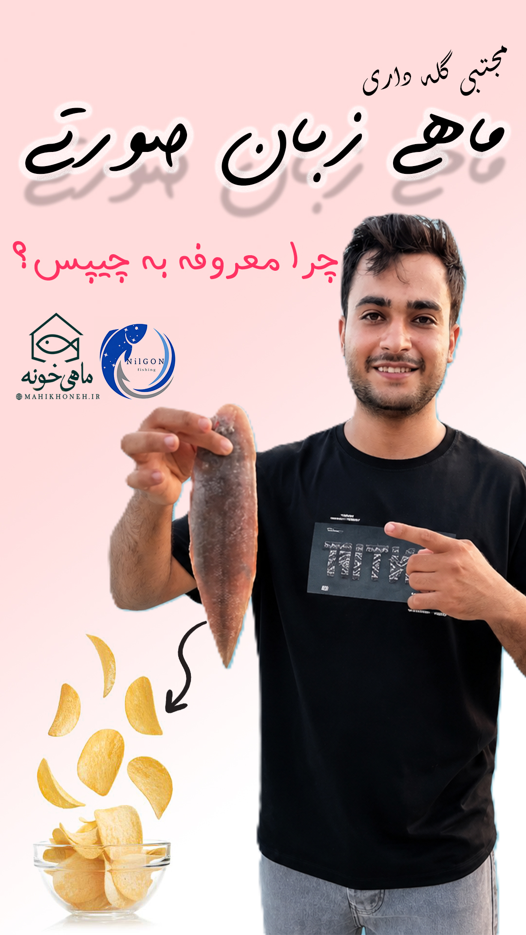 ماهی زبان صورتی و مجتبی گله داری در ماهی خونه