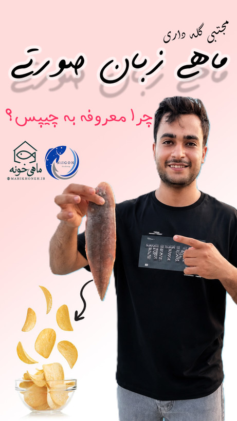 ماهی زبان صورتی و مجتبی گله داری در ماهی خونه