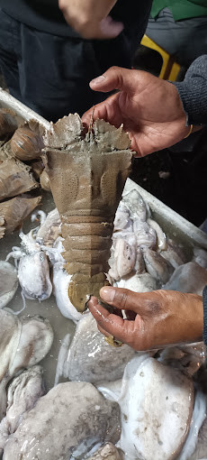 لابستر کله پهن یا تخته ای (سفارش 6 کیلو به بالا)