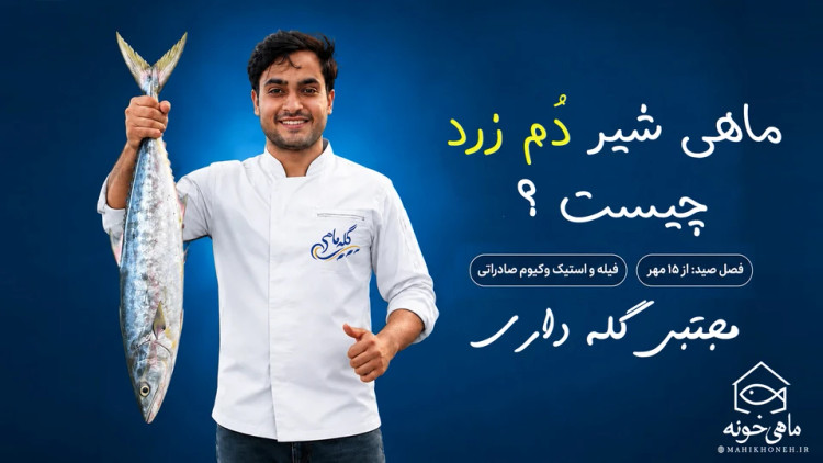 شیر دم زرد مجتبی گله داری